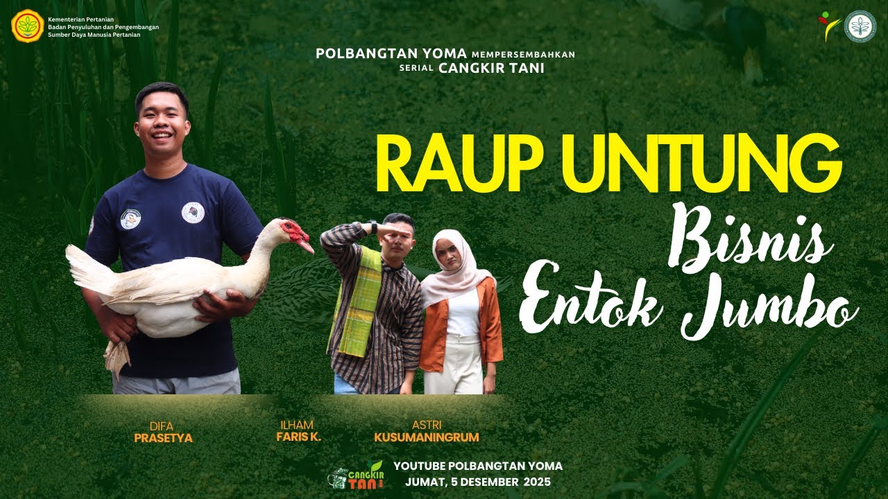 Raup Untung Bisnis Entok Jumbo