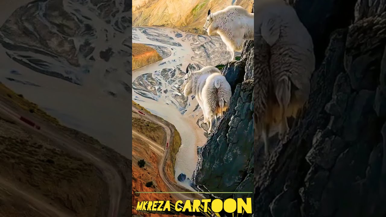 MKREZA Cartoon unique status 32 |