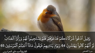 الصفحة 393 سورة القصص بصوت القارئ المهندس أحمد فايز الحراسيس