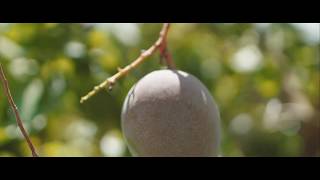 Cquniversitys Institute For Future Farming Systems