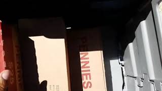 Why did he Pay Traffic Ticket with $169.00 worth of pennies #Covid19