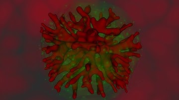 Angiogenesis Simulation - CFisUC @ University of Coimbra