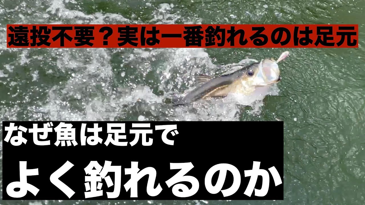 ルアーはしっかり手前まで巻く！なぜ魚は足元でよく釣れるのか