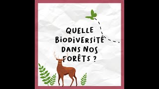 Le Vrai de la Forêt (S2 - 1\/8) - Quelle biodiversité dans nos forêts ?