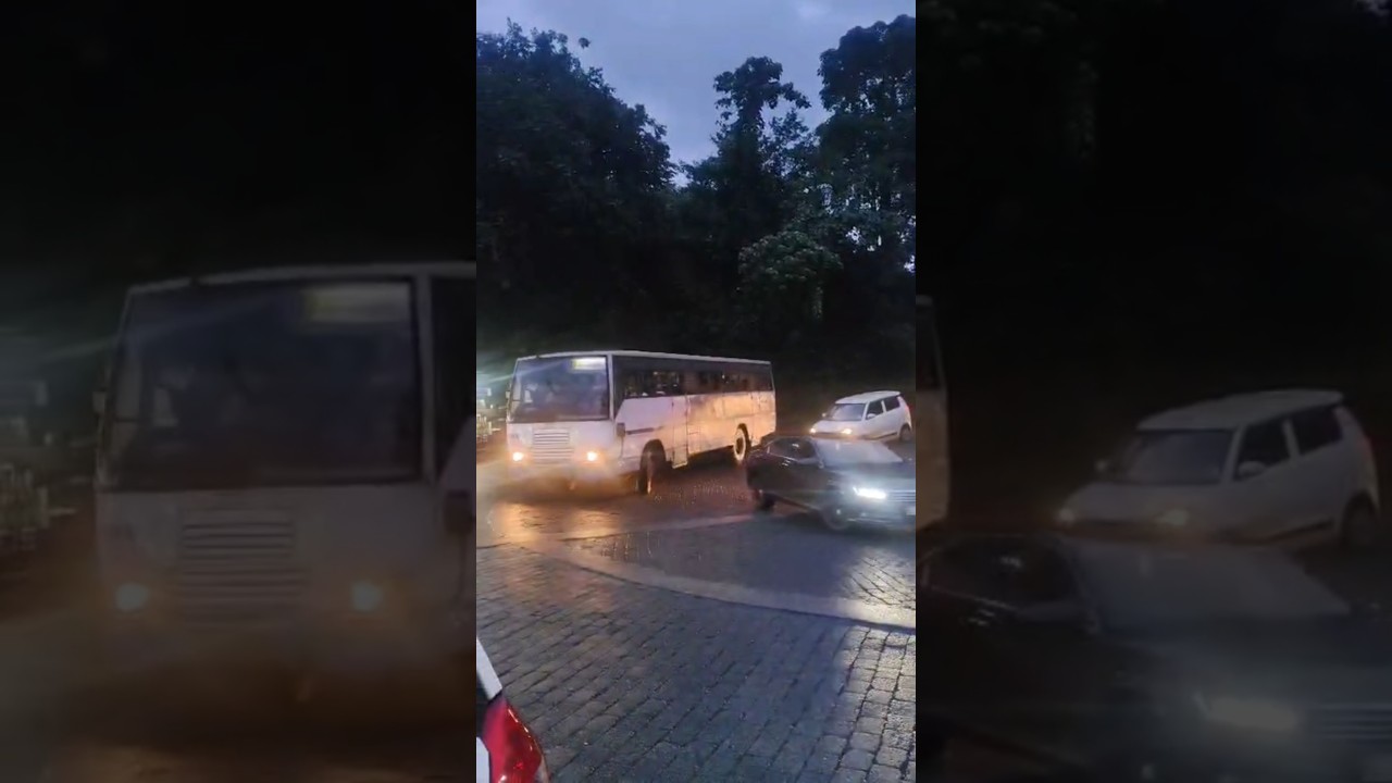 ഇവന്മാരെ കൊണ്ട് തോറ്റു 😱😱😱#shortsfeed #shorts #viral #wayanad