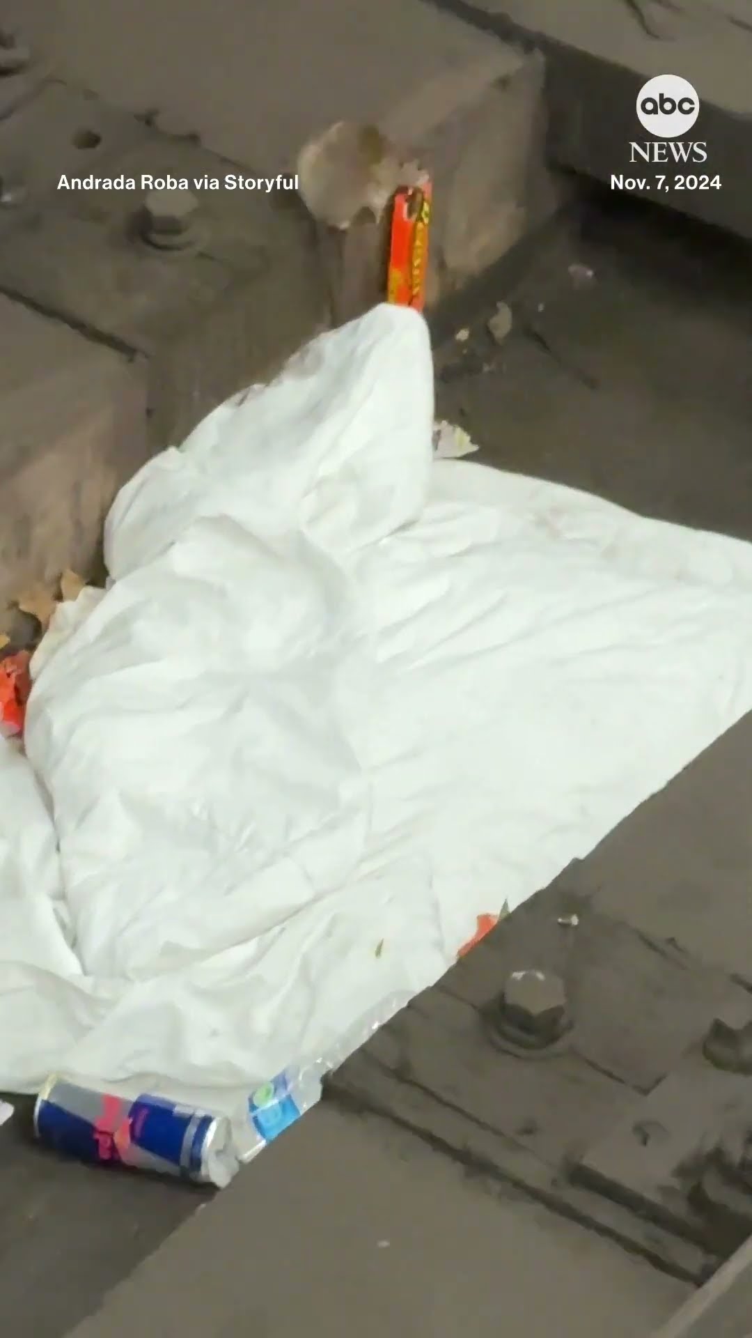 Rat snatches Reese’s Peanut Butter Cups from subway tracks