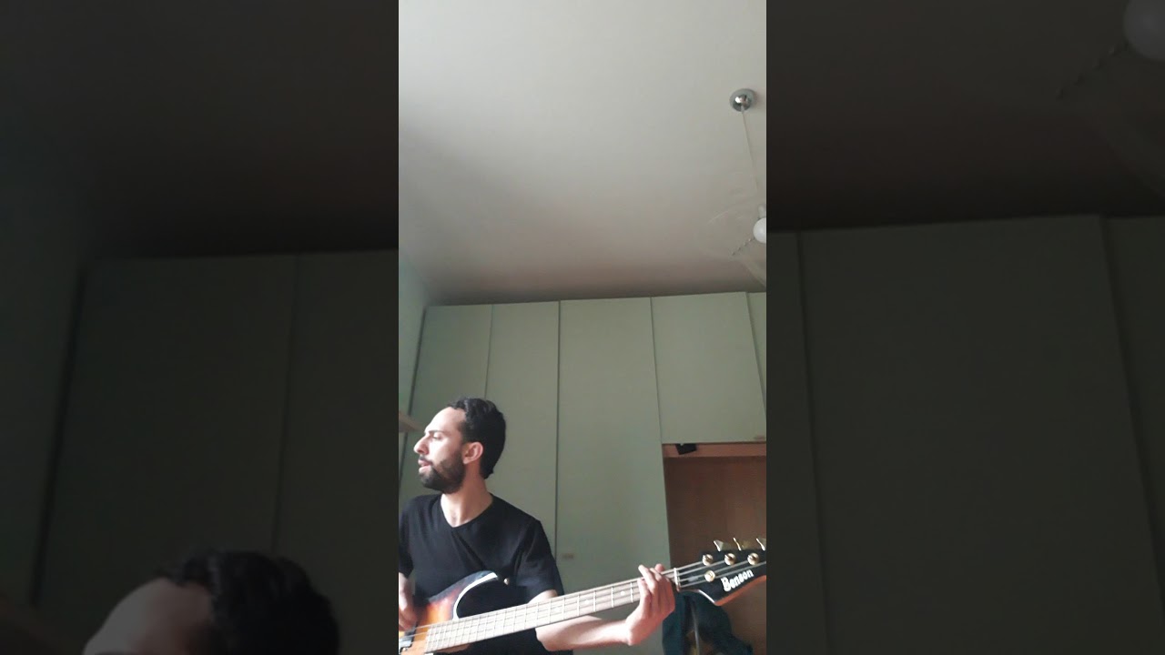 Senorita, cover basso e voce