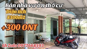 Cô 6 lâm nợ cần bán gấp lô đất nhà vườn trái cây có thổ cư đại hạ giá xã lổ sâu