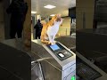 Yıldızların altında hepimiz biriz #istanbul #metro #metrostation #bosphorus #cats #catsofyoutube