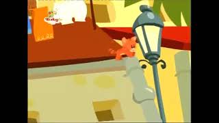 Zoom - El gato - BabyTV