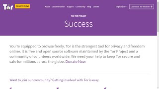 Tor browser idm mega вход как тор браузер перевести на русский язык мега