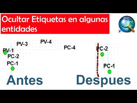 Video: ¿Cómo colocar arcmap de etiquetas no colocadas?