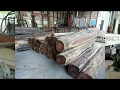 Granadillo sawing