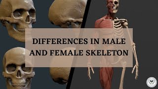 Differences  in Male and Female Skeleton. #forensicscience  @afrs