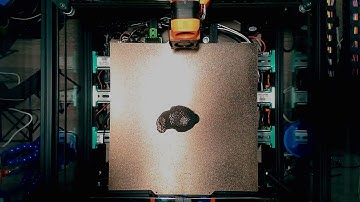 Voron 2.4 Voronoi Timelapse Test