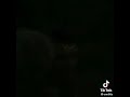 لحد ماانت جيت غيرتني وكنت هدايه 