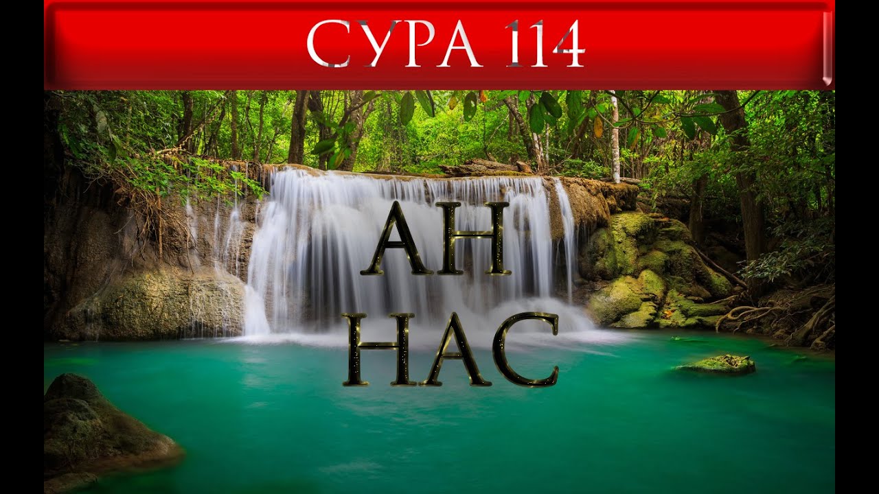 Сура 113 114. Сура Аль Мунафикун. Сура 63. Сура Мумтахана. Сура Аль Тагабун.