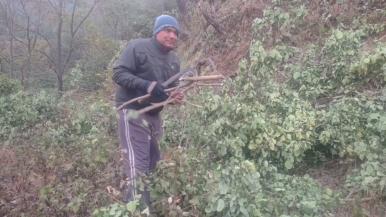 गाँव की दिनचर्या 2026 जनवरी 