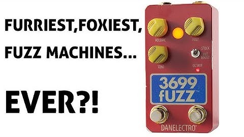 Danelectro 3699 Fuzz Demo — Furriest, Foxiest, Fuzz Machines Ever?!