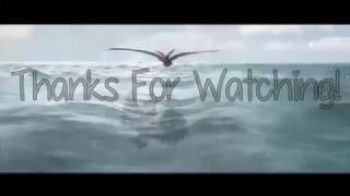 FLARES HTTYD MEP Outro for *StarShy*