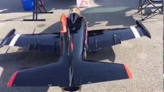 Jet Legend L-39 Patriots BEHOTEC 180 GOLD 4/4 Shutdown