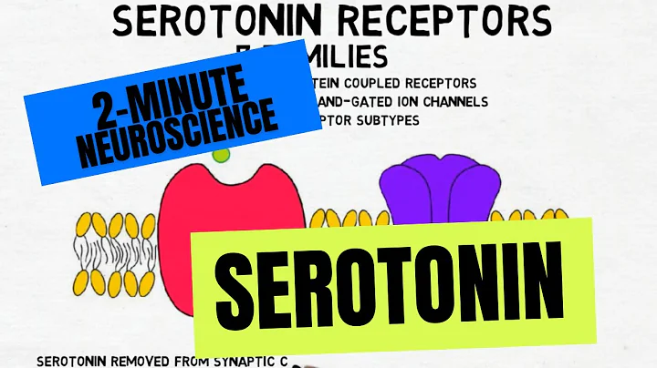 2-Minute Neuroscience: Serotonin