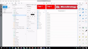 Microstrategy Dossier - Filters (Page level and Global)