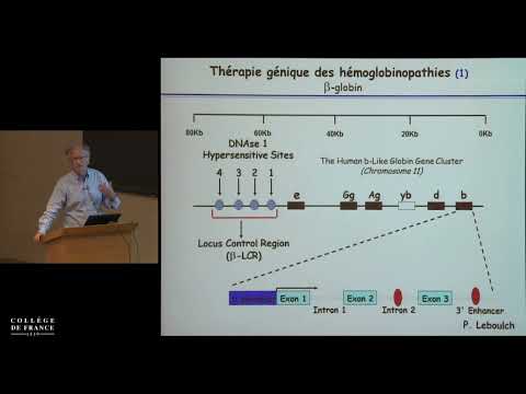 Biothérapies, thérapies cellulaire et génique (4) - Alain Fischer (2014-2015)