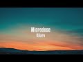 Kiiara - Microdose | Lyrics