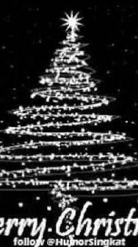 Pohon natal lexalaia