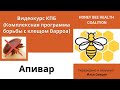 Как лечить пчел Апиваром (3,3% Амитраза) в рамках КПБ против клеща Варроа? (США)
