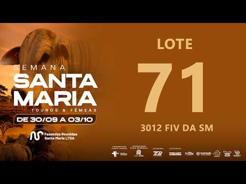 LOTE 71 FSM A3012