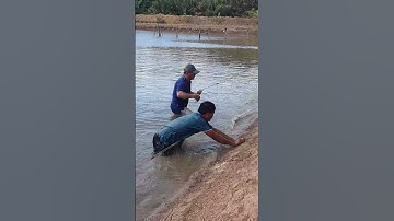 Về Sóc Trăng kéo cá bên cồn | Cù Lao Dung Sóc Trăng | Chợ khô Cần Thơ