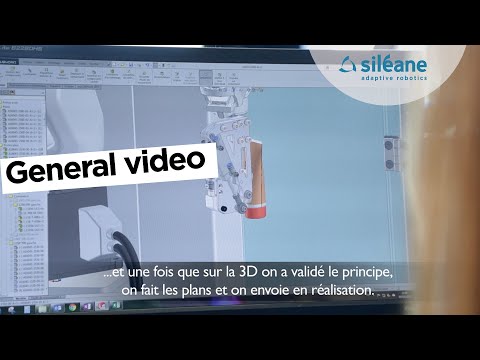 Siléane - General video - video from Sileane