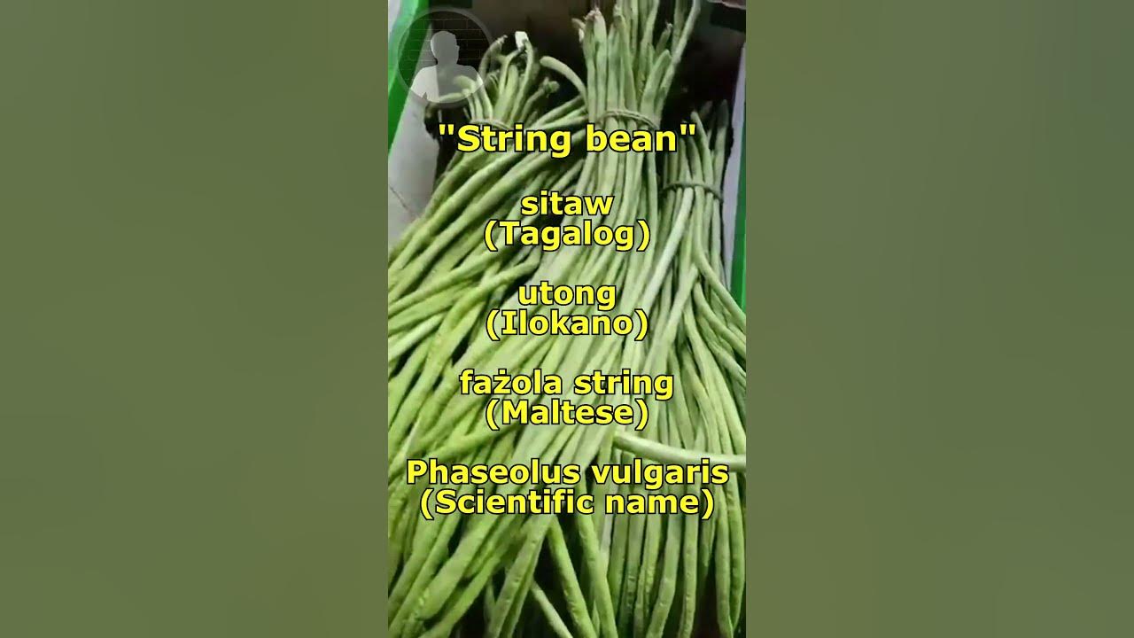 Health Benefits of "STRING BEAN" YouTube