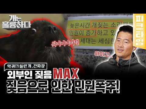 [#피크타임] 외부인을 보면 미친 듯이 짖어대는 악귀 들린 개(?) 간짜장 | #개는훌륭하다 | KBS 221212 방송