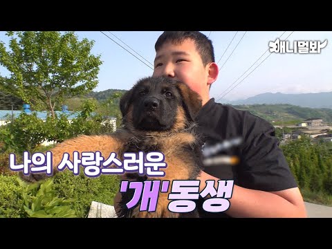 동물농장계의 어린 헤르미온느가 매일 하는 일 💦💦ㅣYoung Hermione’s Everyday Work at <strong>Animal</strong> <strong>Farm</strong>