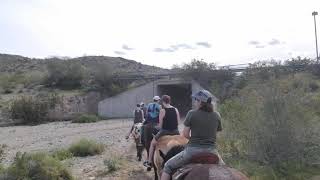Horseback Riding in Arizona by Gatescaper 27 views 4 years ago 16 seconds