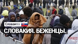 Беженцы в Словакии