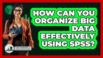 How Can You Organize Big Data Effectively Using SPSS? - The Friendly Statistician