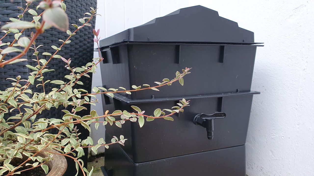 The first week with my Wormcity Wormery.