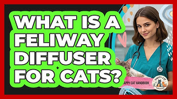 What Is A Feliway Diffuser For Cats? - Happy Cat Handbook