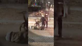 Police Seeking Driver Who Hit Man In Wheelchair