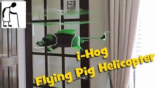 i-Hog Flying Pig Helicopter - First Flights