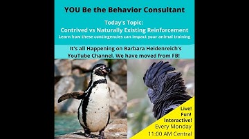 Contrived vs Naturally Existing Reinforcement.