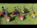 2000W double 20ah battery Citycoco Electric tricycle EEC COC approved  CP-3.0 Assemble Video