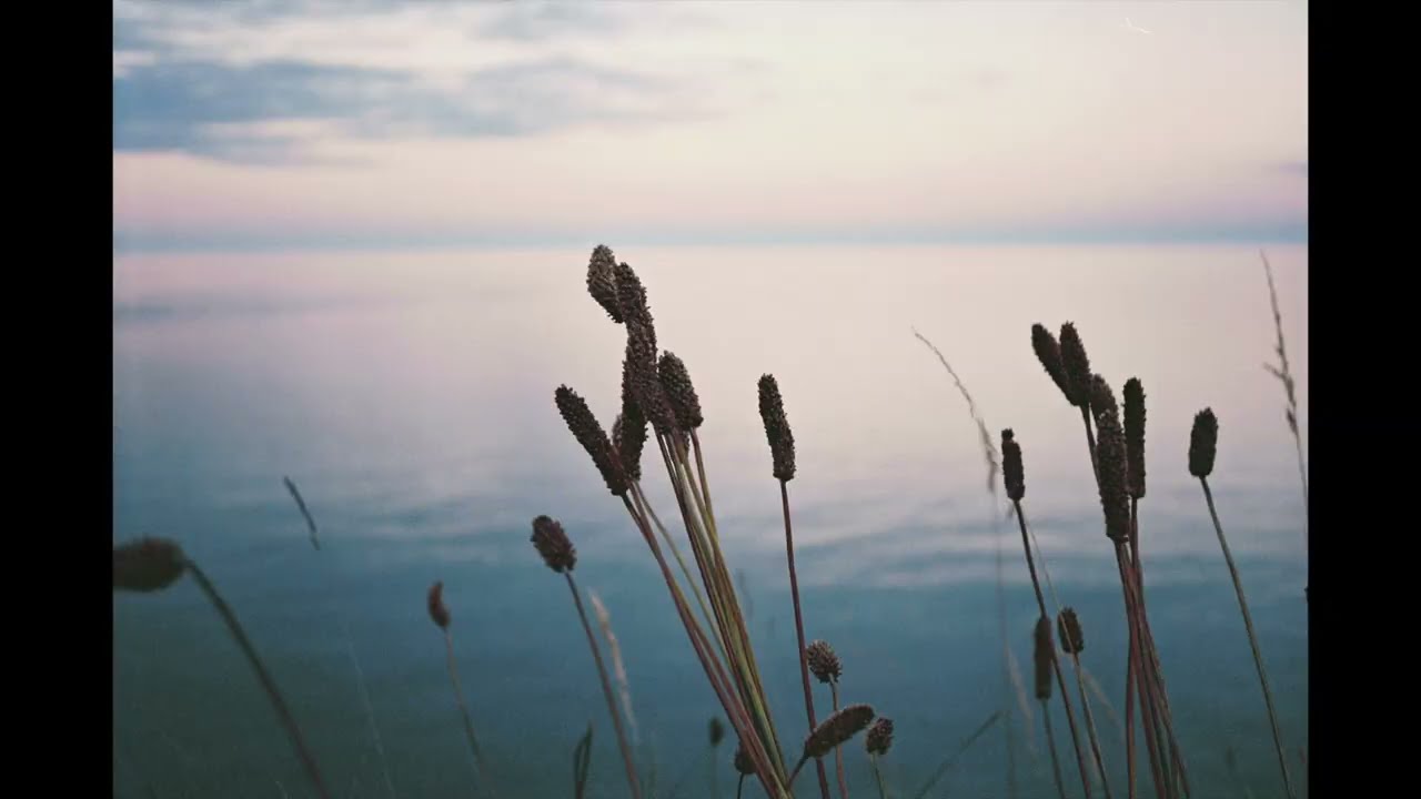 Fionn Regan - TWO SIDES (Official Video)