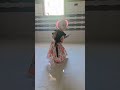 Aaha tamater bade majedar..😃👌👌#youtubeshorts #cutebaby #funny #dance