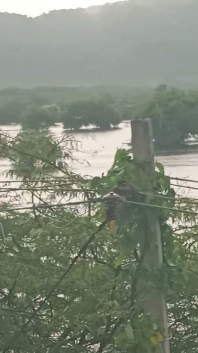 motisagar pond in silora village full of water #water #ponds #watersounds #pani #rain #waterwoes