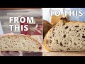 4 Sourdough Mistakes You Can Easily Avoid